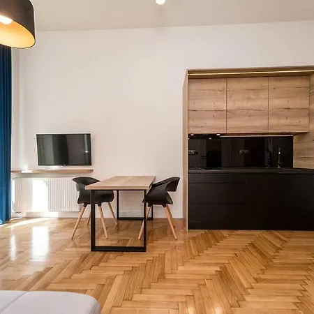 Matejki C Apartment